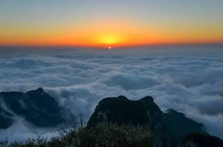 1639980133888582.png image.png